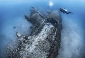 TH-Sub-courtesy-Tanya-Houppermans_edit.jpg.webp
