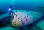 Visit Pensacola_Three Mile Bridge_ Custom Article_Image .png.webp