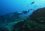 Wreck .jpg.webp