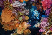 YA-D-brandon_cole_edit_MM_thumbnail.png.webp