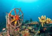 bestdiving_martiniquewrecks.jpg.webp