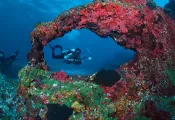 brazil.jpg.webp