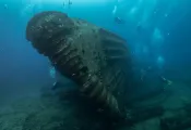dive oahu_.jpg.webp