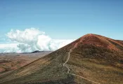 iStock-_edit.jpeg.webp