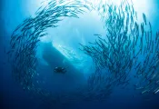 iStock-.jpg.webp