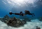 ricahrd-vevers-diving-svii-camera.jpg.webp