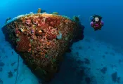 scuba-diving-curacao-teaser.jpg.webp