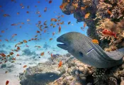 shutterstock_.jpg.webp
