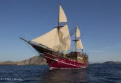 arenui_boatonly_.jpg.webp