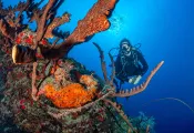 beginner-destinations-st-croix-steve-simonsen-.jpg.webp