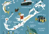 bermuda-scuba-magazine.jpg.webp
