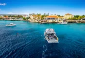buddy_dive_aerial_..jpg.webp