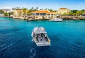 buddy_dive_digital_article_x_image.png.webp