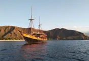 dive_damai_web_article_image_x.png.webp