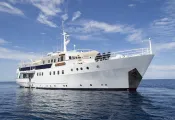 pelagian-dive-yacht-walt-stearns.jpg.webp