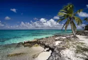 scuba-aruba_shutterstock_.jpg.webp