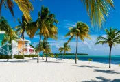 southerncrossclub-photo.jpeg.webp