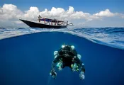tech-diver-underover-credit-shutterstock-mekan-photography_.png.webp