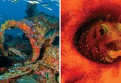 tobago-hero.jpg.webp