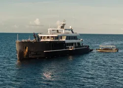  Main Black Pearl   .JPG.webp