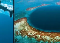-Belize_Tourism_.jpg.webp