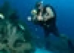 -Belizethumb_.jpg.webp