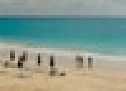 -Bermudathumb_.jpg.webp