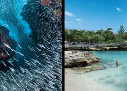 -CAYMAN-ISLANDS_.jpg.webp