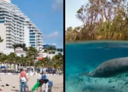 -FLORIDA_.jpg.webp