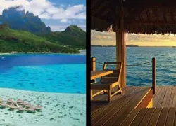 -InterContinental_Le_Moana_.jpg.webp