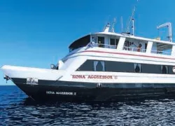 -Kona-Aggressor_.jpg.webp