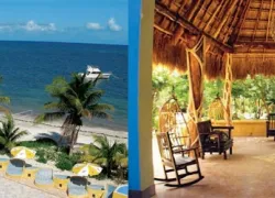 -Maya-Palms_.jpg.webp