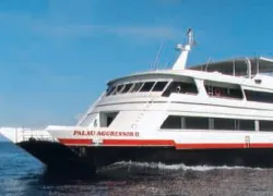 -Palau-Aggressor_.jpg.webp