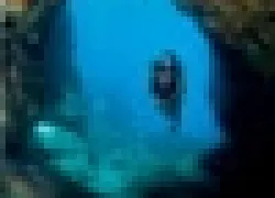 -Puerto-Ricothumb_.jpg.webp