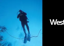 -West_Divers_.jpg.webp