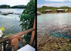 -coco-view_.jpg.webp