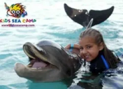 -Jen_Hug_Doliphin_.jpg.webp