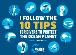 _tips_diver_pledge.jpg.webp