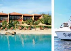 -Aquanauts_and_True_Blue_Bay_Resort_.jpg.webp