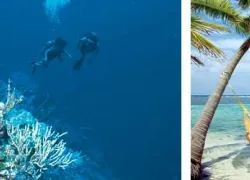 -Belize_Tourism_.jpg.webp