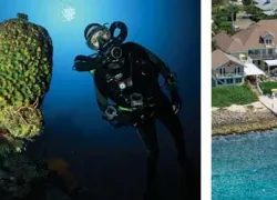 -Divetech_and_Cobalt_Coast_Dive_Resort_.jpg.webp