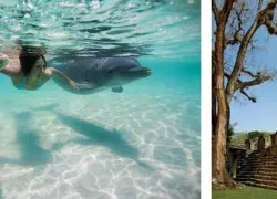 -Honduras_Tourism_.jpg.webp