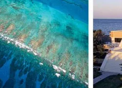-Maya_Palms_Resort_.jpg.webp