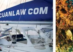-Trimarine_.jpg.webp
