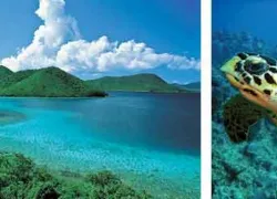 -USVI_Tourism_.jpg.webp
