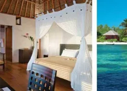 -Wakatobi_Dive_Resort_.jpg.webp