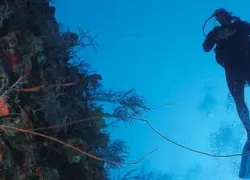 -West_Divers_.jpg.webp