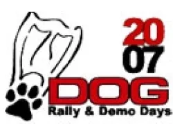 -_DUI_Dog_Rally_.jpg.webp