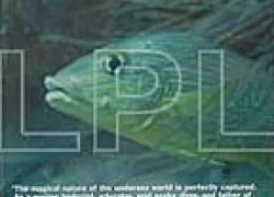 -Underwater_Suite_.jpg.webp
