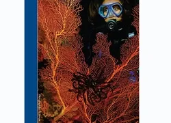 -_PDSHndbk_Cover_.jpg.webp